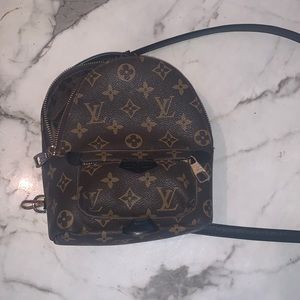 Louis Vuitton Palm Springs Mini Monogram